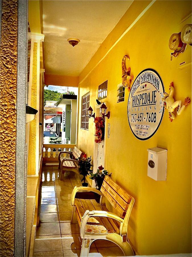 Great Savannah Guesthouse Sabana Grande Extérieur photo